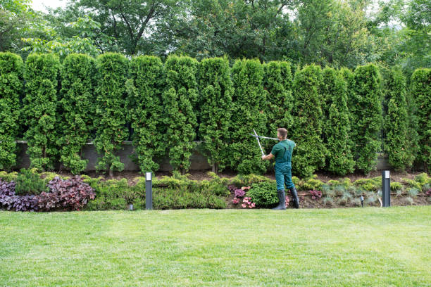 Best Landscape Design and Installation  in Chillum, MD